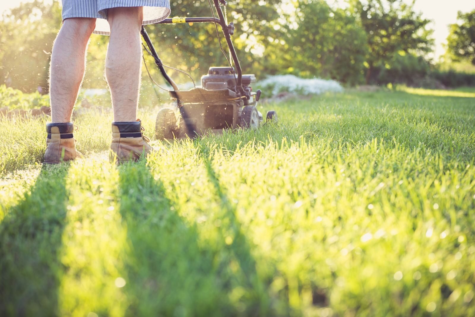 Gardener mowing green lawn in daylight