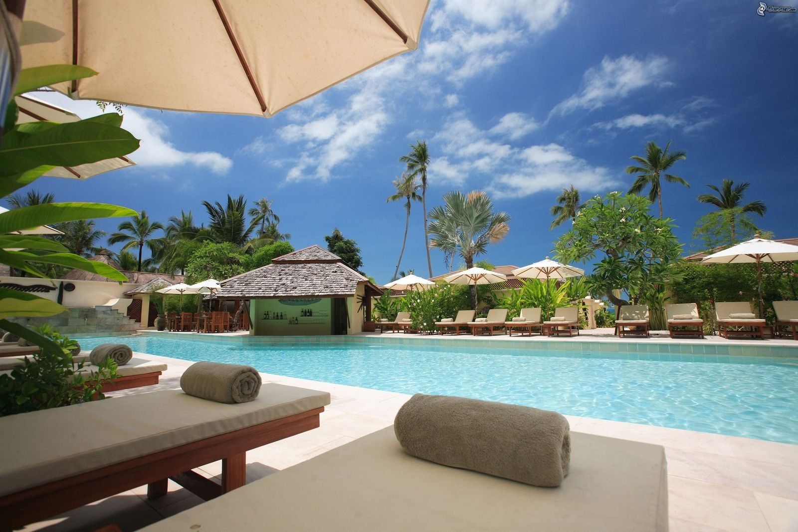 Travel agency website concept